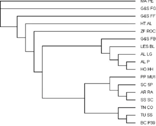 Fig. 3 PAUP parsimony 50%