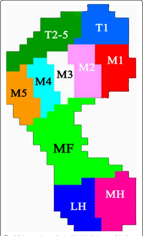 Fig. 1 Schematic diagram for the 10 subdivided zones of the footapplied in the current study
