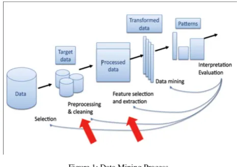 Figure 1: Data Mining Process 