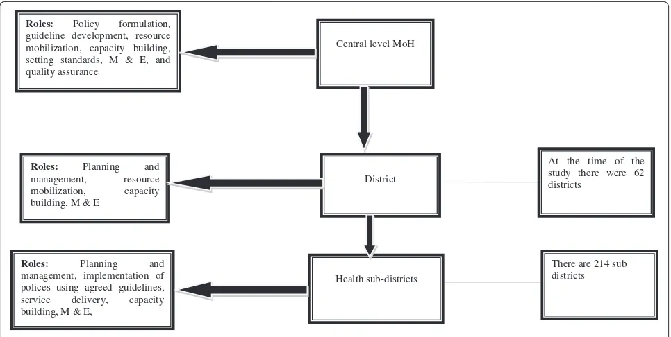 Figure 1 Managerial organization of health services.
