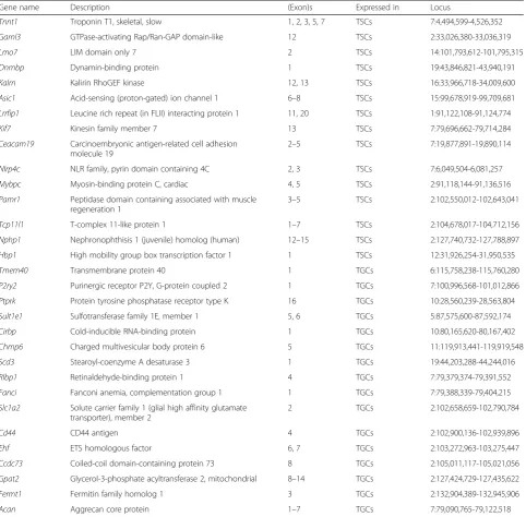 Table 1 Genes with differentially expressed exons in TSCs (15 genes) or TGCs (16 genes) are shown