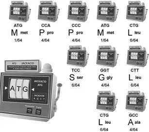 Fig. 3 The “jackprot” model of protein evolution. A slot machine (lowerleft) represents the cellular apparatus required to generate each of thethree nucleotides coding for an amino acid, for example, the startingcodon methionine ATG