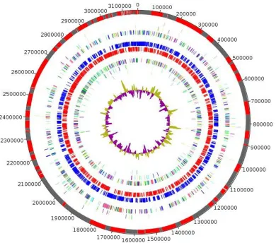 Figure 5 COG category of genes on the forward strand (three circles), genes on forward strand (blue circle), genes on the 