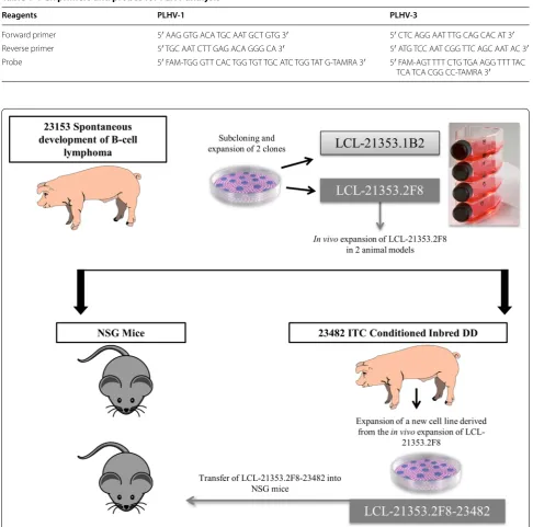 Table 1 PCR primers and probes for PLHV analysis