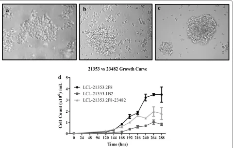 Fig. 2 Growth characteristics of the swine derived tumor cell lines. A LCL‑21353.1B2 culture image taken after third passage