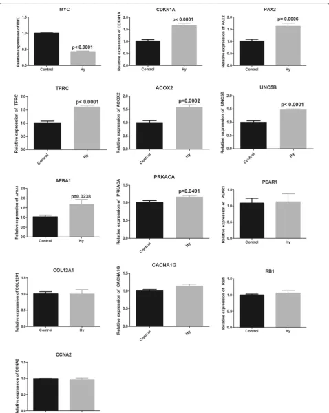 Fig. 6 MYC, CNKN1A, PAX2, TFRC, ACOX2, UNC5B, APBA1, PRKACA , PEAR1, COL12A1, CACNA1G, RB1, and CCNA2 mRNA expression in C-33A cells