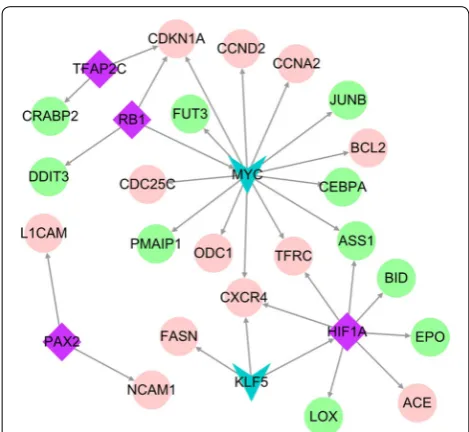 Table 3 Top 20 PPI network topology property scores