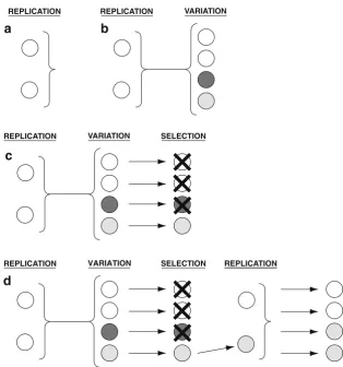 Table 3 Common phrase-based misunderstandings of evolution