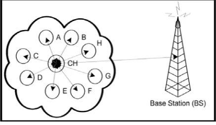 Fig. 1.1 Cluster in a sensor network 