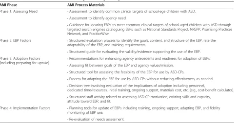 Figure 2 Process model of AMI development and pilot test.