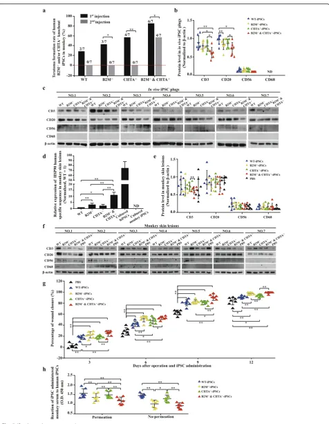Fig. 5 (See legend on next page.)
