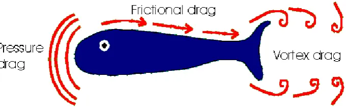 Figure 1.1.1 Variation of Drag Force on a Body (Buchheim J., n.d.) 