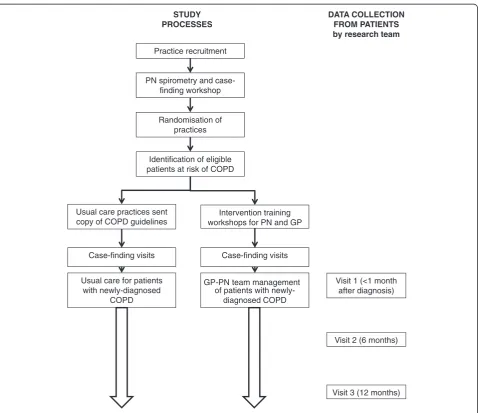 Figure 1 Study and data collection processes.