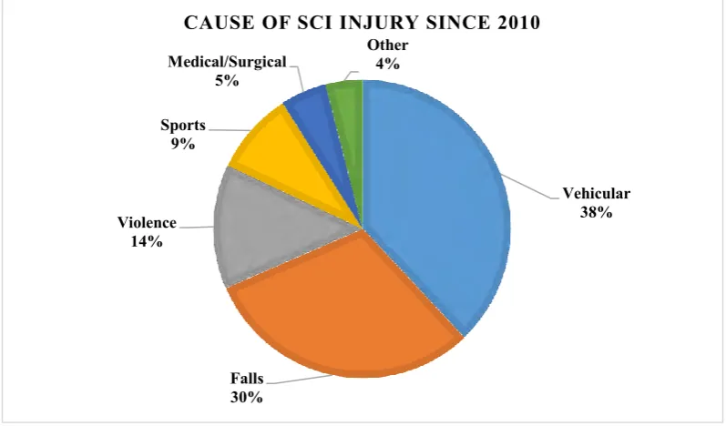Figure 1: Causes of SPI since the year of 2010 
