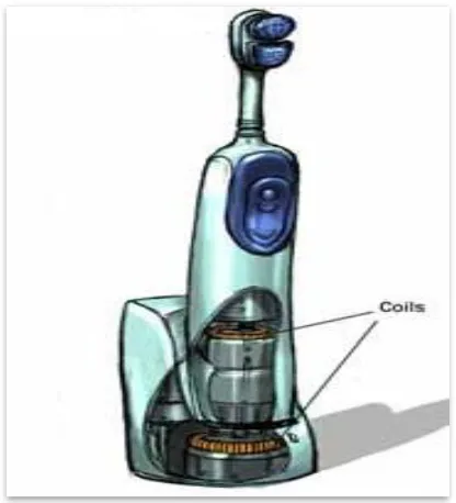 Figure 1.2: The electrical toothbrush. 
