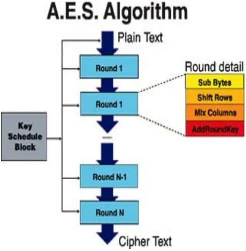 Fig 1: Cryptography Algorithms.  