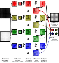 Fig. 4.Stages of preprocessing in the iCub input chain for presentation to the network used in tests