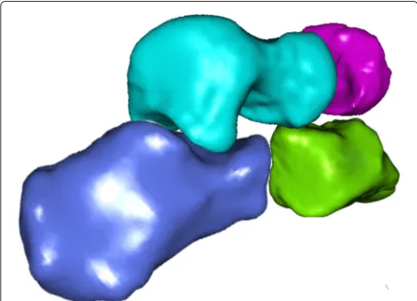 Fig. 6 zoom).Two-way ANOVA showed statistically significant differ-ences between considered bones, coefficients, and inter-actions between the bones and coefficients (all p≪0.001)