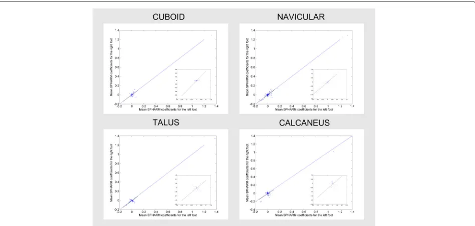 Fig. 6 Correlation between the SPHARM coefficients. Correlation between the SPHARM coefficients of the left and the right models of cuboid,navicular, talus and calcaneus