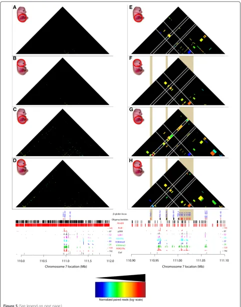 Figure 5 (See legend on next page.)