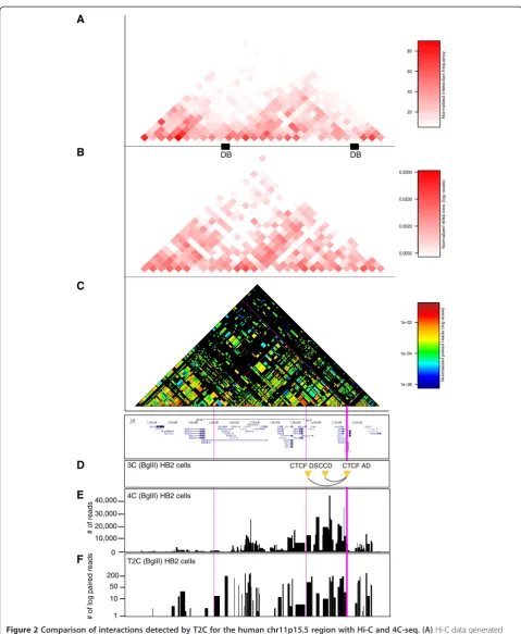 Figure 2 Comparison of interactions detected by T2C for the human chr11p15.5 region with Hi-C and 4C-seq