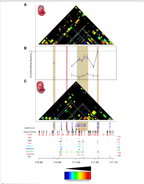 Figure 4 (See legend on next page.)