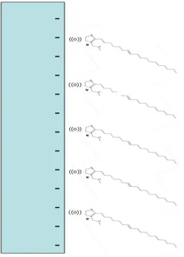 Figure 40. Adsorption of cationic inhibitors on negatively charged metallic surface. 