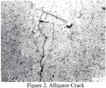 Figure 3. Irregular Crack 