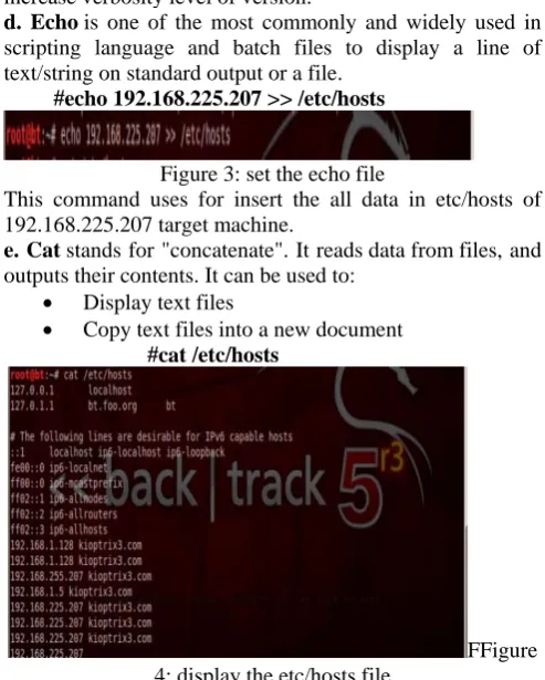 Figure 3: set the echo file This command uses for insert the all data in etc/hosts of 