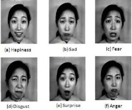 Fig. 1: Images with expressions from JAFFE Dataset [19] 
