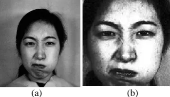 Fig. 3: (a) Gamma Corrected Image (b) Histogram Equalized image.   