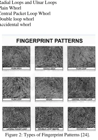 Figure 2: Types of Fingerprint Patterns [24]. 
