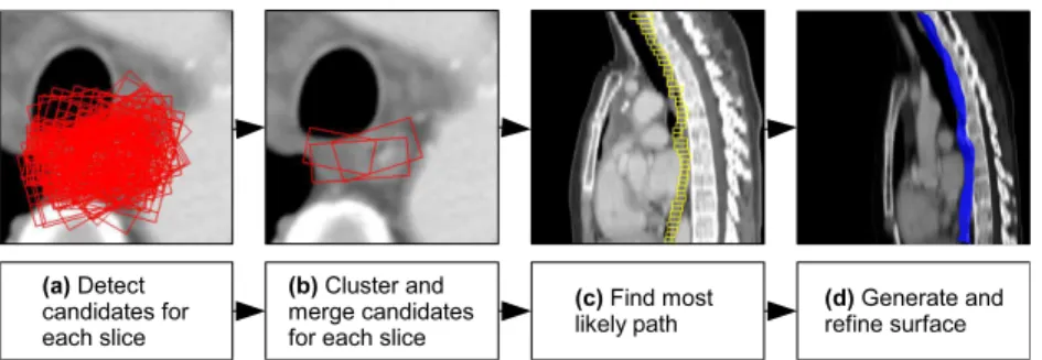 Fig. 1. Overview of the proposed method.