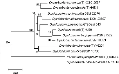 Figure 2. Phylogenetic tree highlighting the position of  ping process repeated 100 times to generate a majority consensus tree [SY12-35C, AB272165