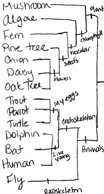 Fig. 5 Aimee generated a phylogenetic diagram using apomorphies todefine monophyletic groups of taxa