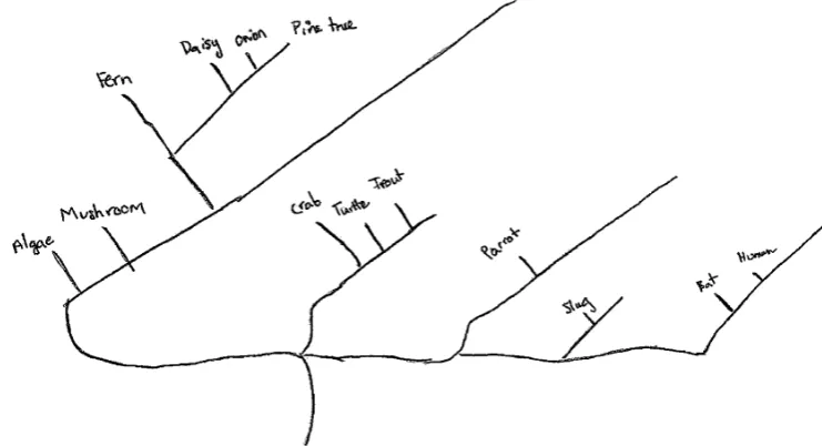 Fig. 3 Explain how these two