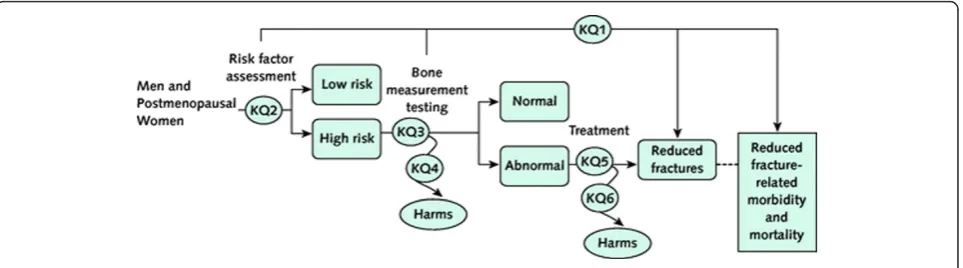 Figure 1 Analytical framework and KQs (Keywords). From Screening for Osteoporosis: An Update for the U.S