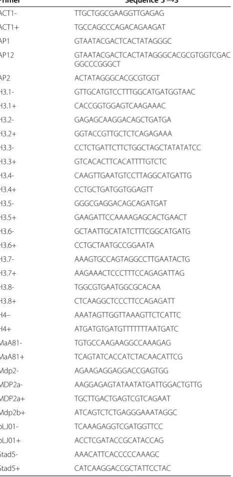 Table 3 Primers used in this study