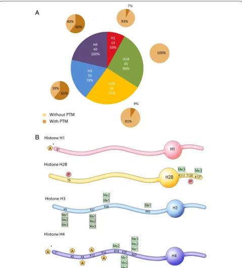 Figure 1 Histone peptides and post-translational modifications (PTMs) detected in mouse sperm