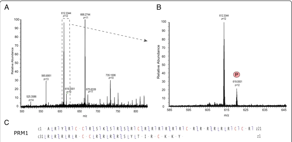 Figure 4 PRM1 forms identified with a top-down strategy for intact protein analysis. A) MS1 trace of the most abundant charge states ofPRM1 (+10 to +14)