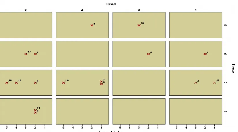 Figure  5-13 The interrelationship between trauma injuries associated with head, thorax, and lower limb cases that did not survive represented by AIS scores 1-5