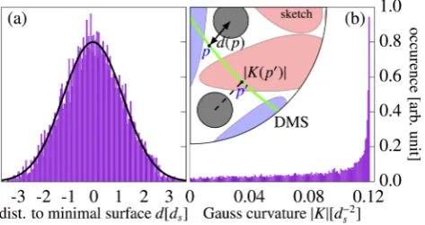FIG. 6: (a) The distribution of spheres around the Diamond minimalsurface is displayed