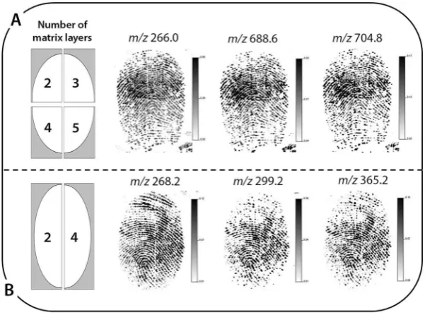 Figure 2. Optimisation of matrix deposition for ingermarks of two donors deposited onto polymer banknotes, including; (A) the number of matrix layers sprayed onto four quarters of ingermark 1 (donor 1) and subsequent MALDI MS images acquired, and (B) the n