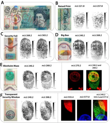Figure 4. MALDI MSI of ingermarks deposited onto diferent areas of a polymer banknote