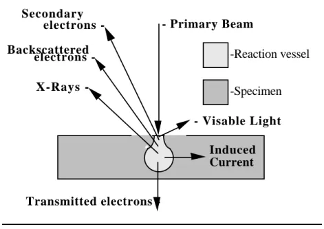 Figure 5Transmitted electrons -Backscattered    