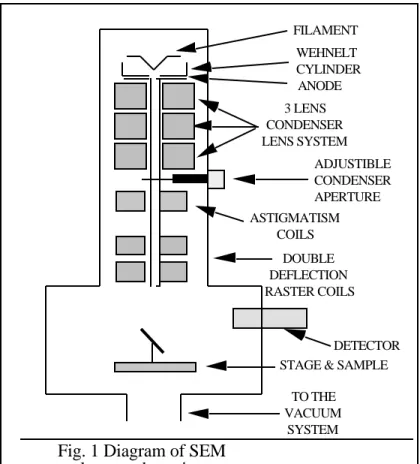 Fig. 1 Diagram of SEM  column and specimen 