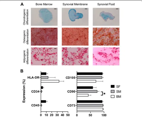 Fig. 1 Trilineage differentiation and immunophenotyping of human SF-, SM-, and BM-MSCs