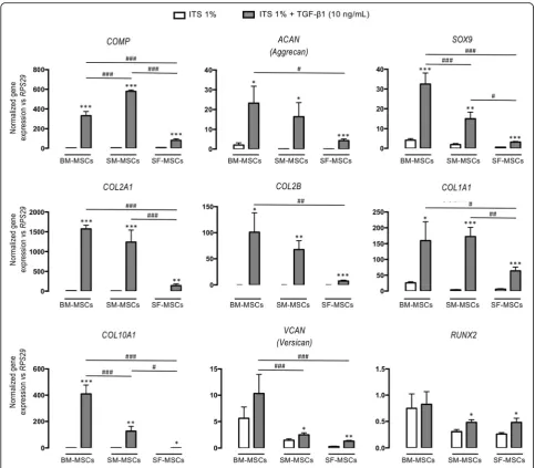 Fig. 2 Gene expression at D28 in collagen sponges seeded with human BM-, SM-, and SF-MSCs under ITS and TGF-groups
