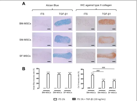 Fig. 4 Histological and immunohistochemical analyses at D28 of collagen sponges seeded with advanced OA human BM-, SM-, and SF-MSCs underversus ITS for each cellular group separately and was followed by two-way ANOVA with Bonferronidifference in GAG produc