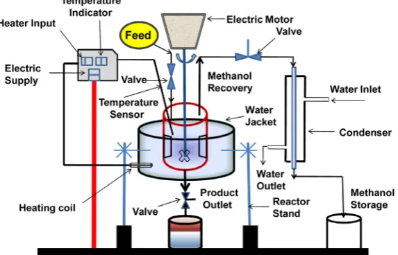 Figure 1. Experimental set up for biodiesel production. 
